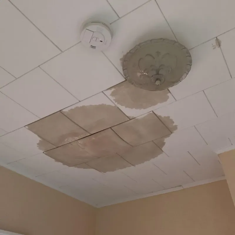 Ceiling Water Damage Repair in Fridley, MN