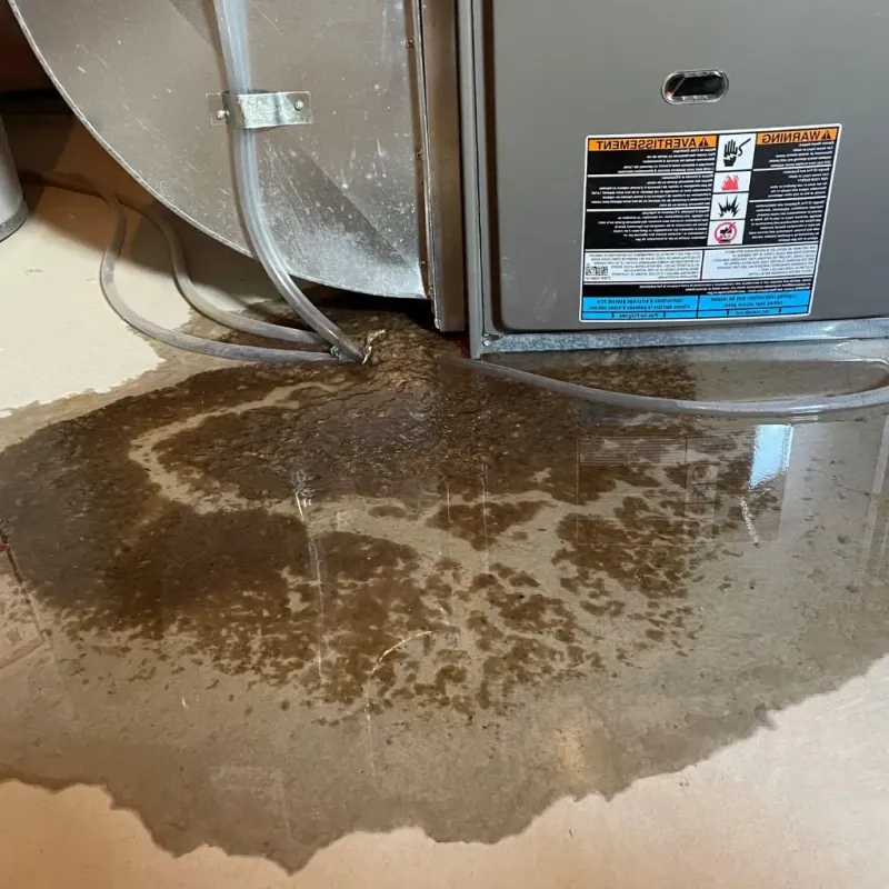 Pipe Burst and Leak Restoration in Fridley, MN